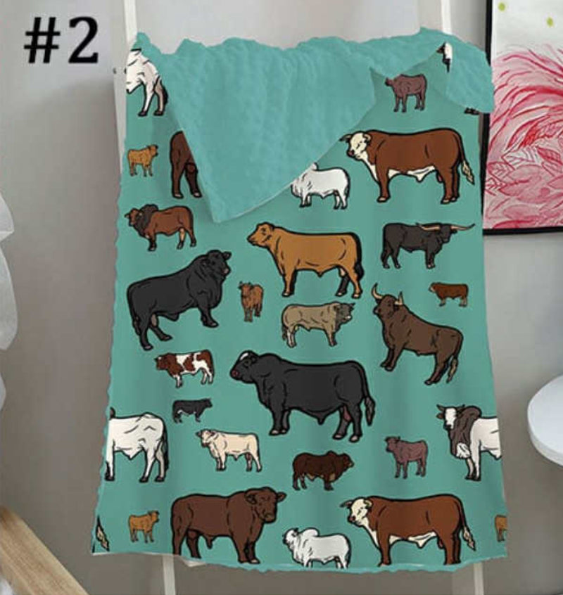 Flannel Blankets 5x6.5