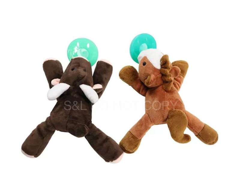 Horse & Cow Pasi